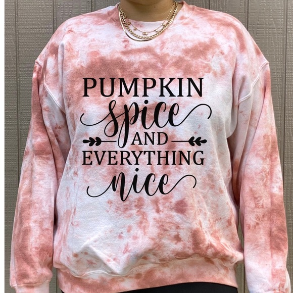 NEW Pumpkin Spice Sweatshirt, Pumpkin Spice Top - Picture 3 of 4